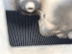 Engine with Radiator