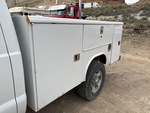 General Appearance with Paint