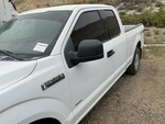 General Appearance with Pintura