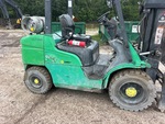 General Appearance with Paint