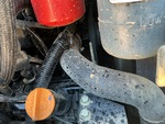 Engine with Cooling System Leaks