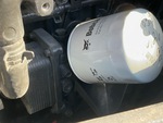 Engine with Oil Leaks