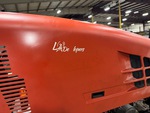 General Appearance with Paint