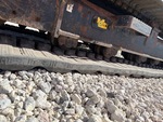 Undercarriage with Left Track Rollers