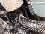 Motor with Cooling System Leaks