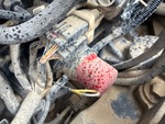 Motor with