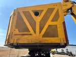 General Appearance with Paint
