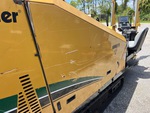General Appearance with Paint