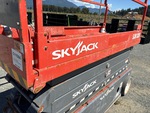 General Appearance with Paint