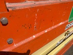 General Appearance with Peinture