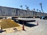 General Appearance with Peinture