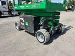 General Appearance with Paint