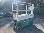 General Appearance with Paint
