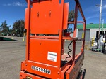 General Appearance with Paint