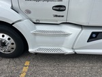 General Appearance with Steps
