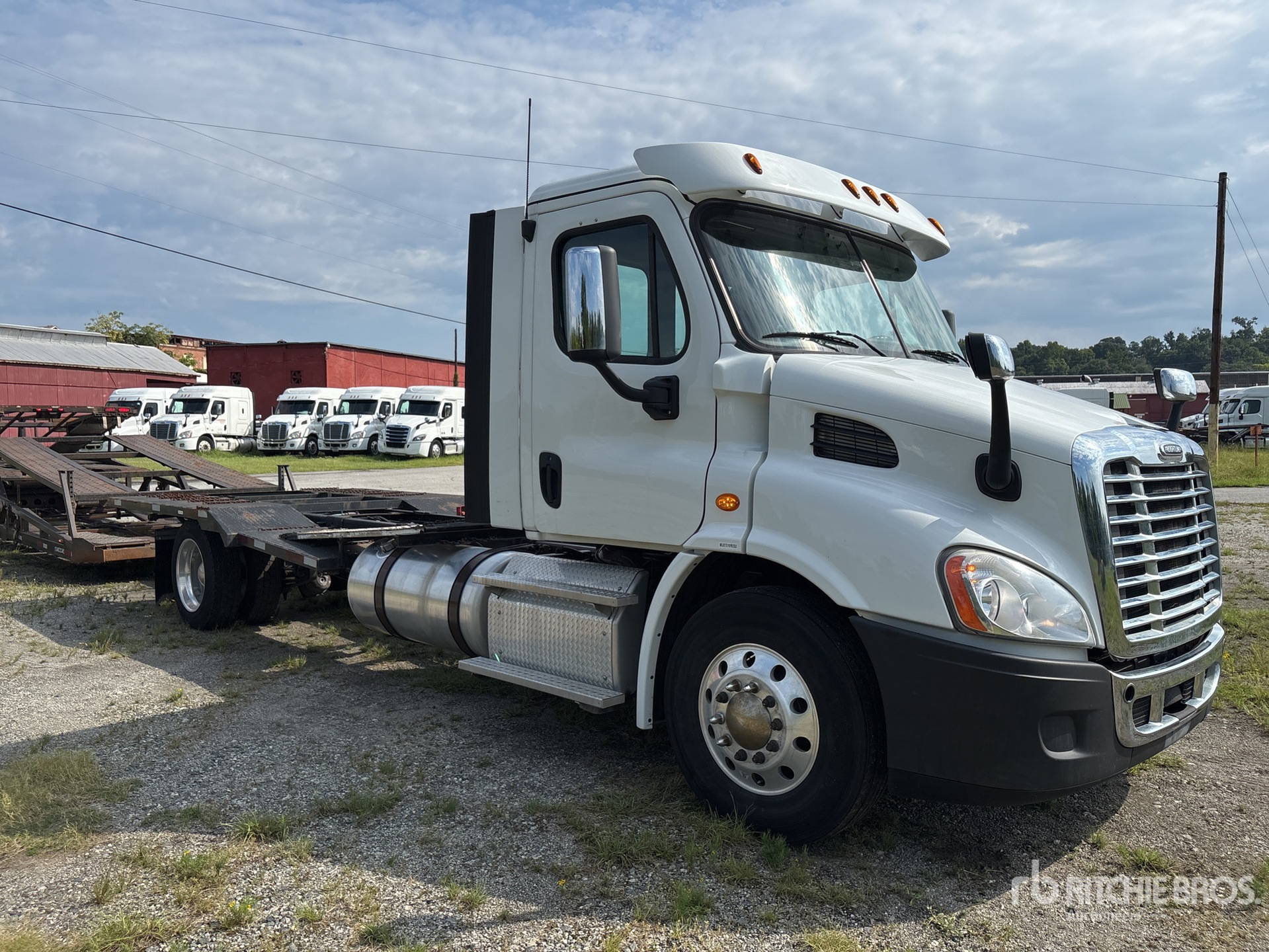 2019 Freightliner Cascadia 113