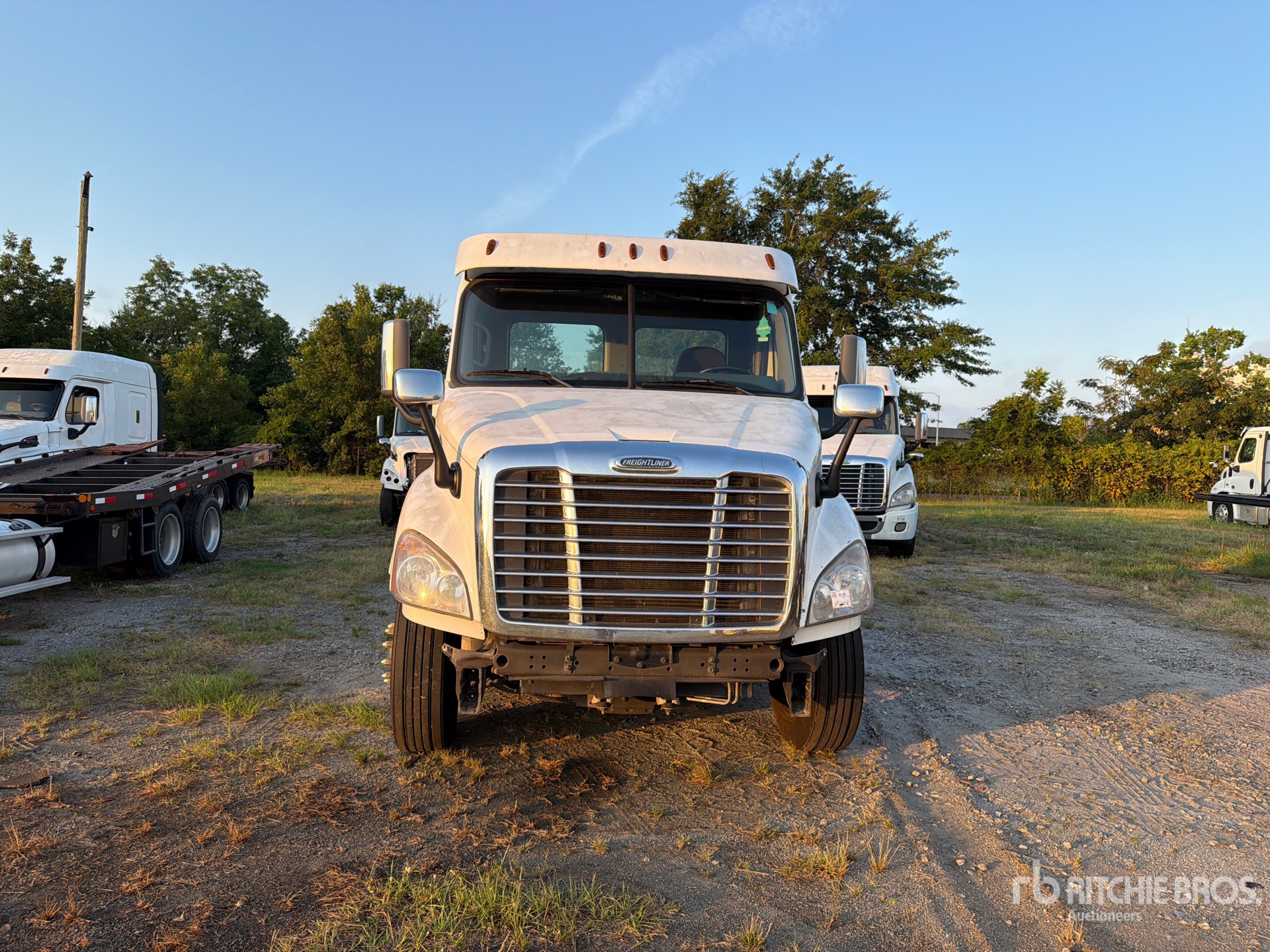 2020 Freightliner CASCADIA 113