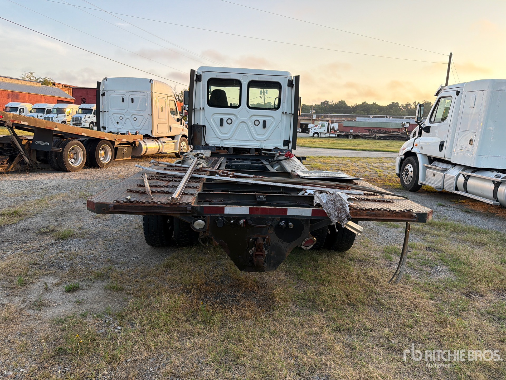 2020 Freightliner CASCADIA 113