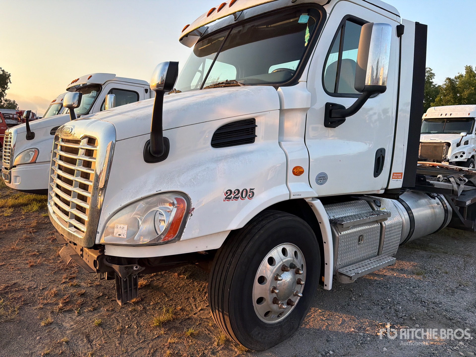 2020 Freightliner CASCADIA 113