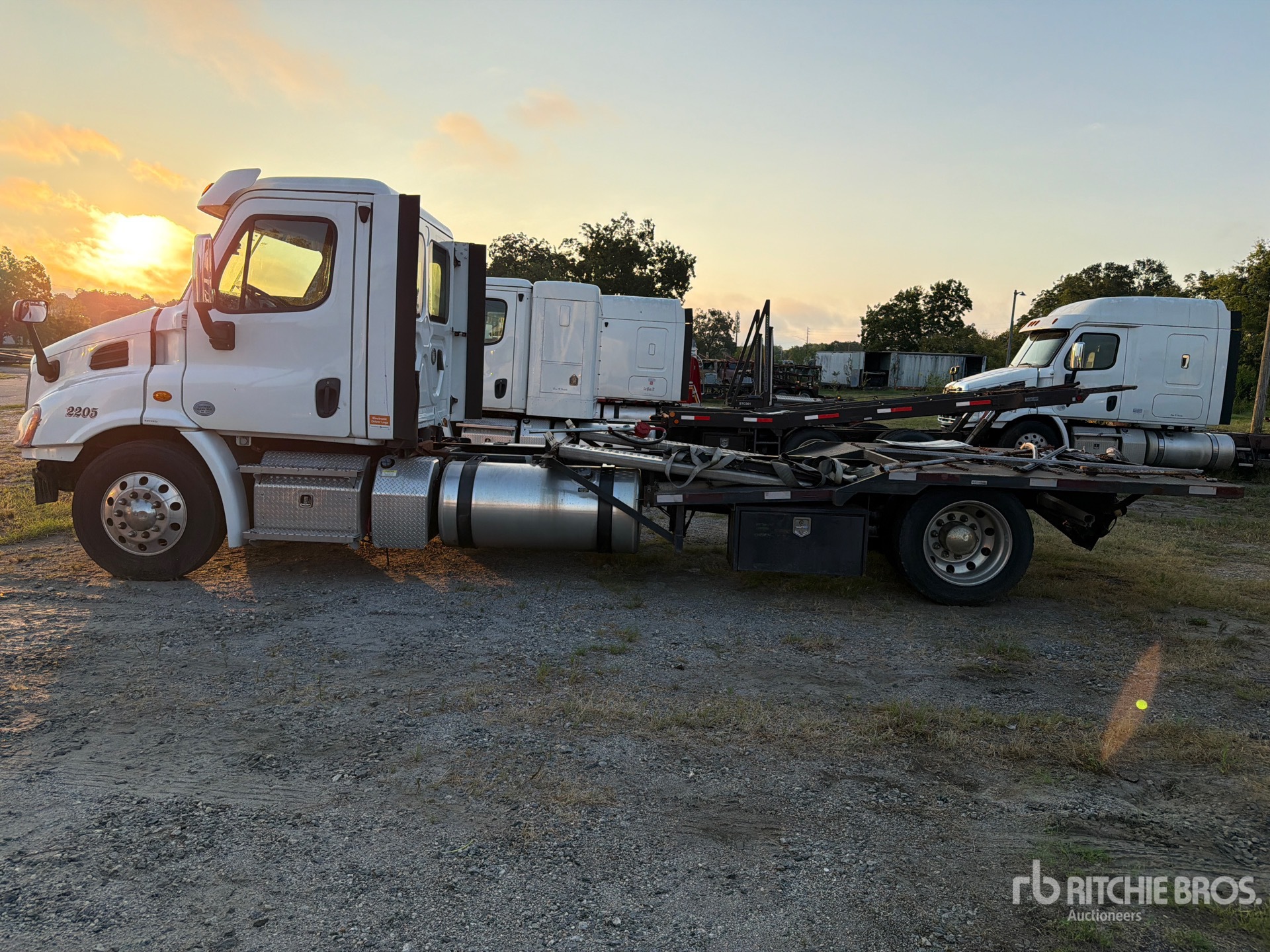 2020 Freightliner CASCADIA 113