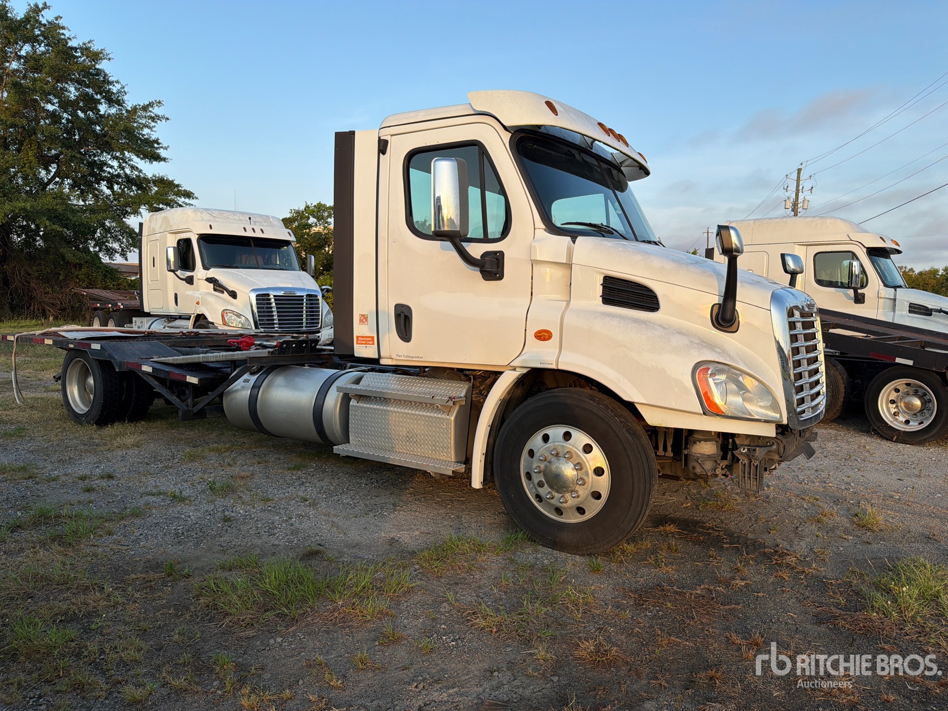 2020 Freightliner CASCADIA 113