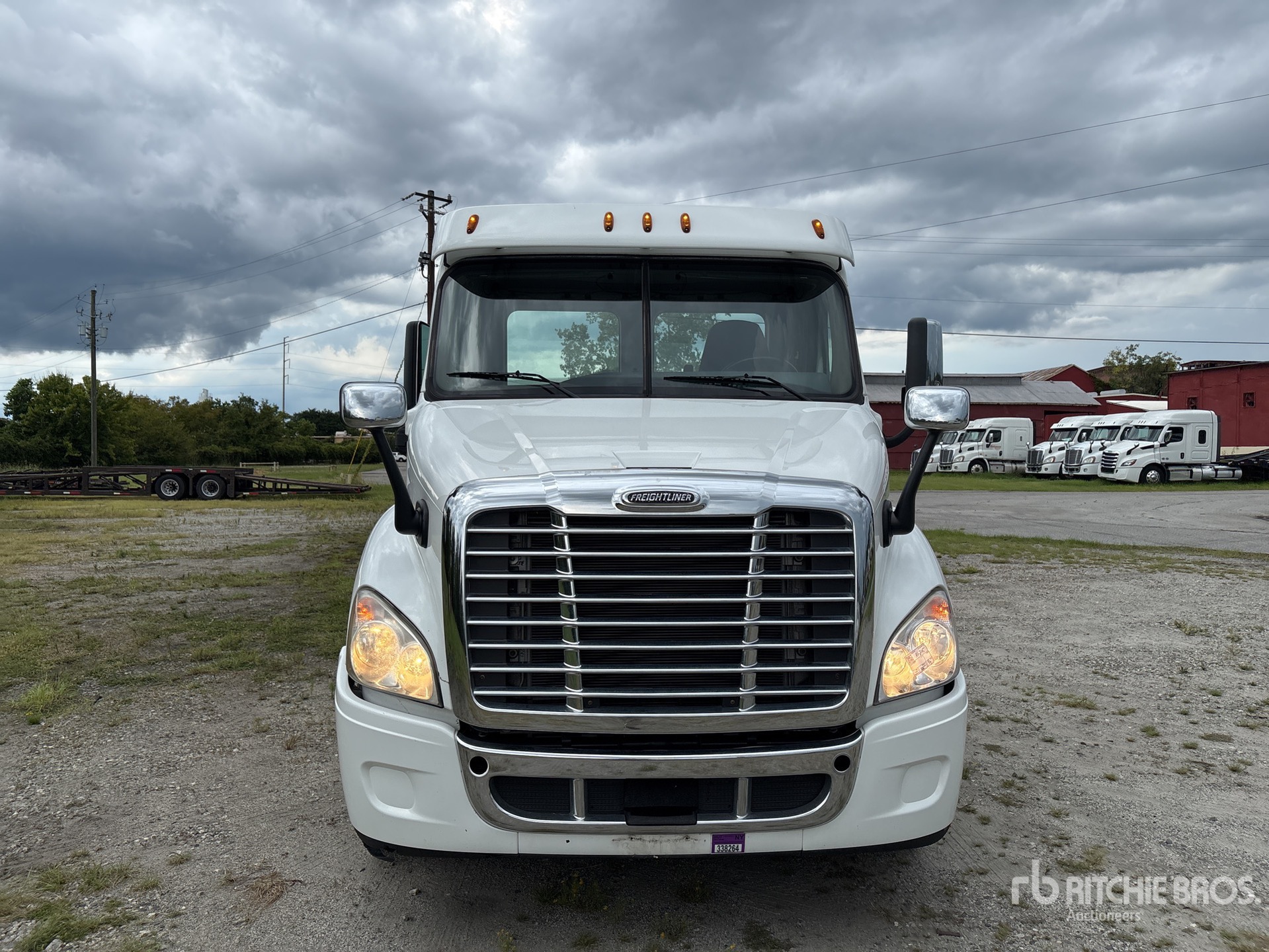 2020 Freightliner Cascadia 113