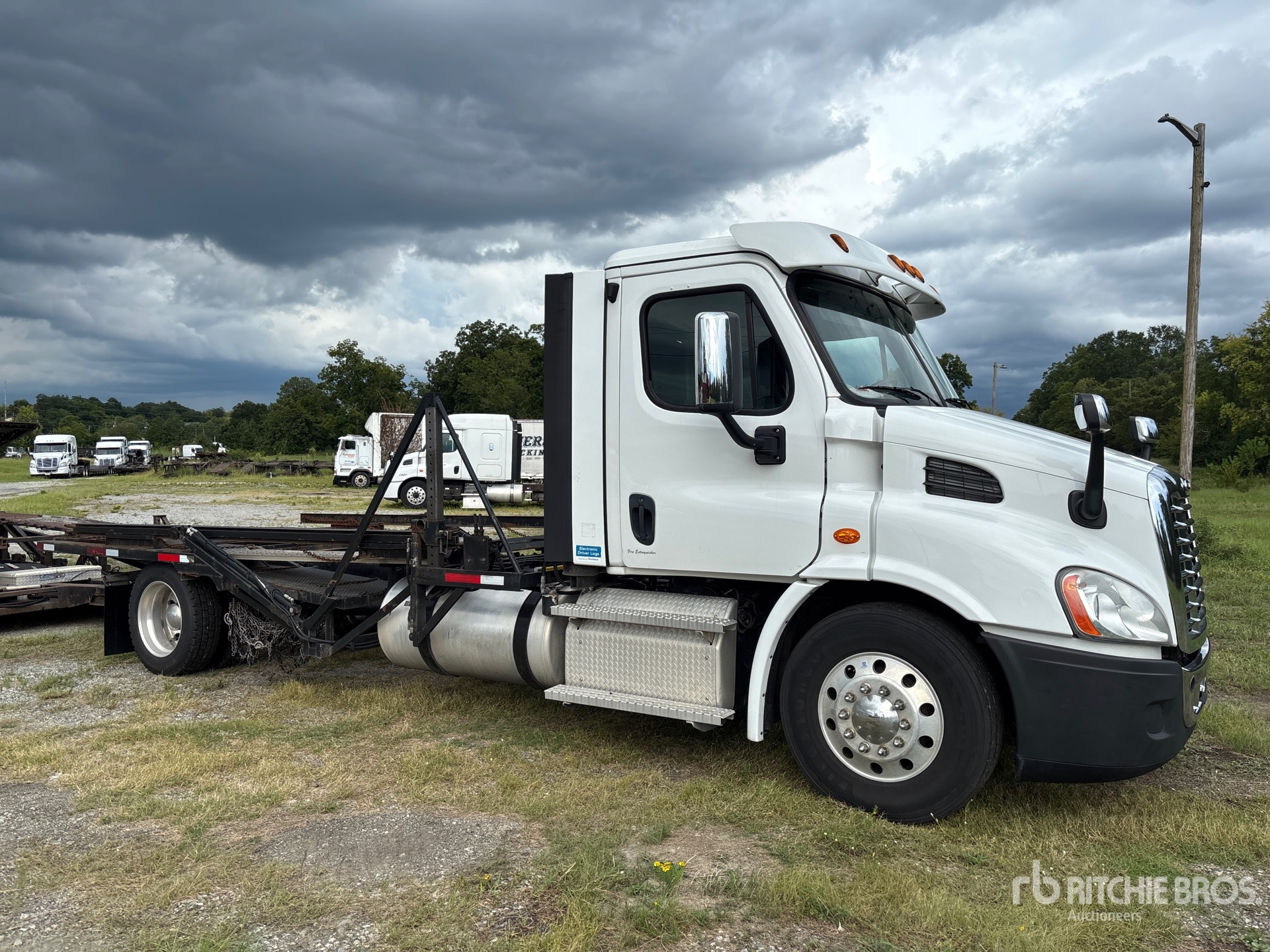 2020 Freightliner Cascadia 113