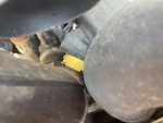 Engine with Exhaust System