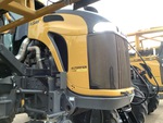 General Appearance with Paint