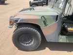 General Appearance with Paint