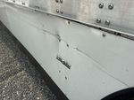 General Appearance with Paint