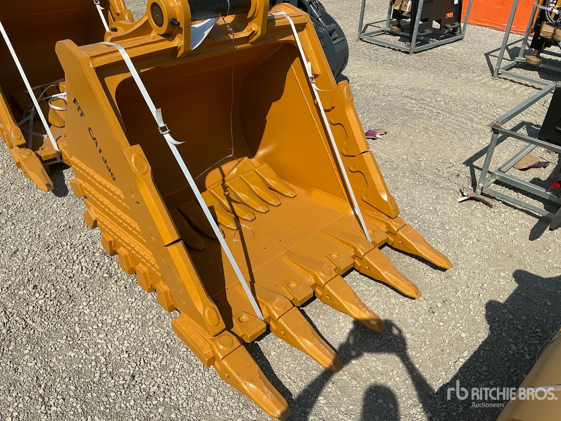 Photo of 2026 LYALS ALSEB336
