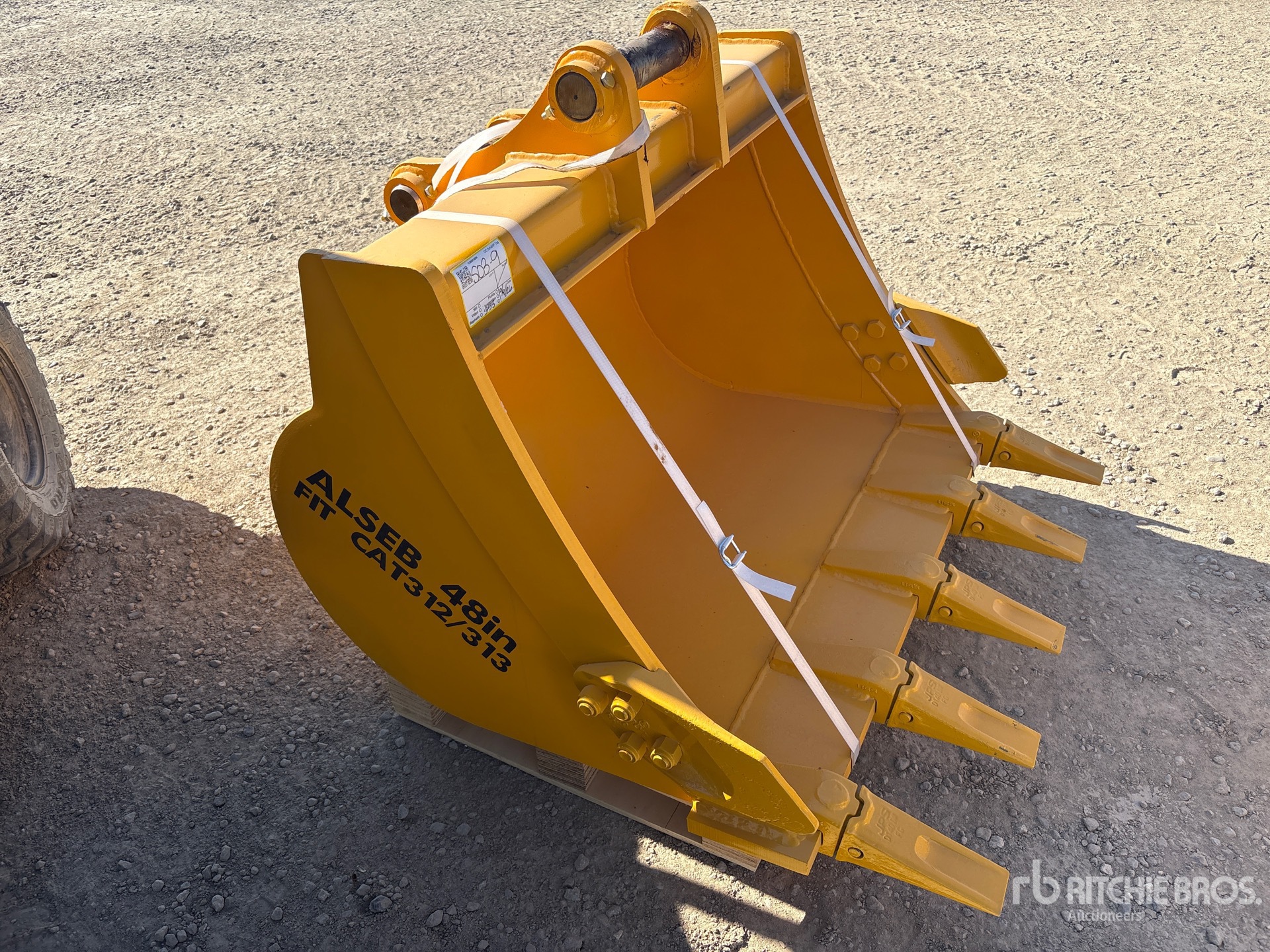 2026 LYALS ALSEB313