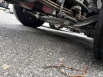 4 Underbody - Truck with