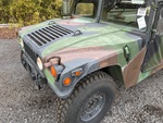 General Appearance with Paint