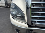 General Appearance with Paint