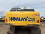 General Appearance with Paint