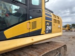 General Appearance with Paint