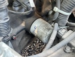 Engine with Oil Leaks