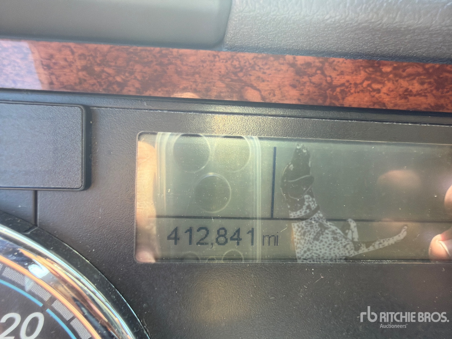 2020 Freightliner CASCADIA 113