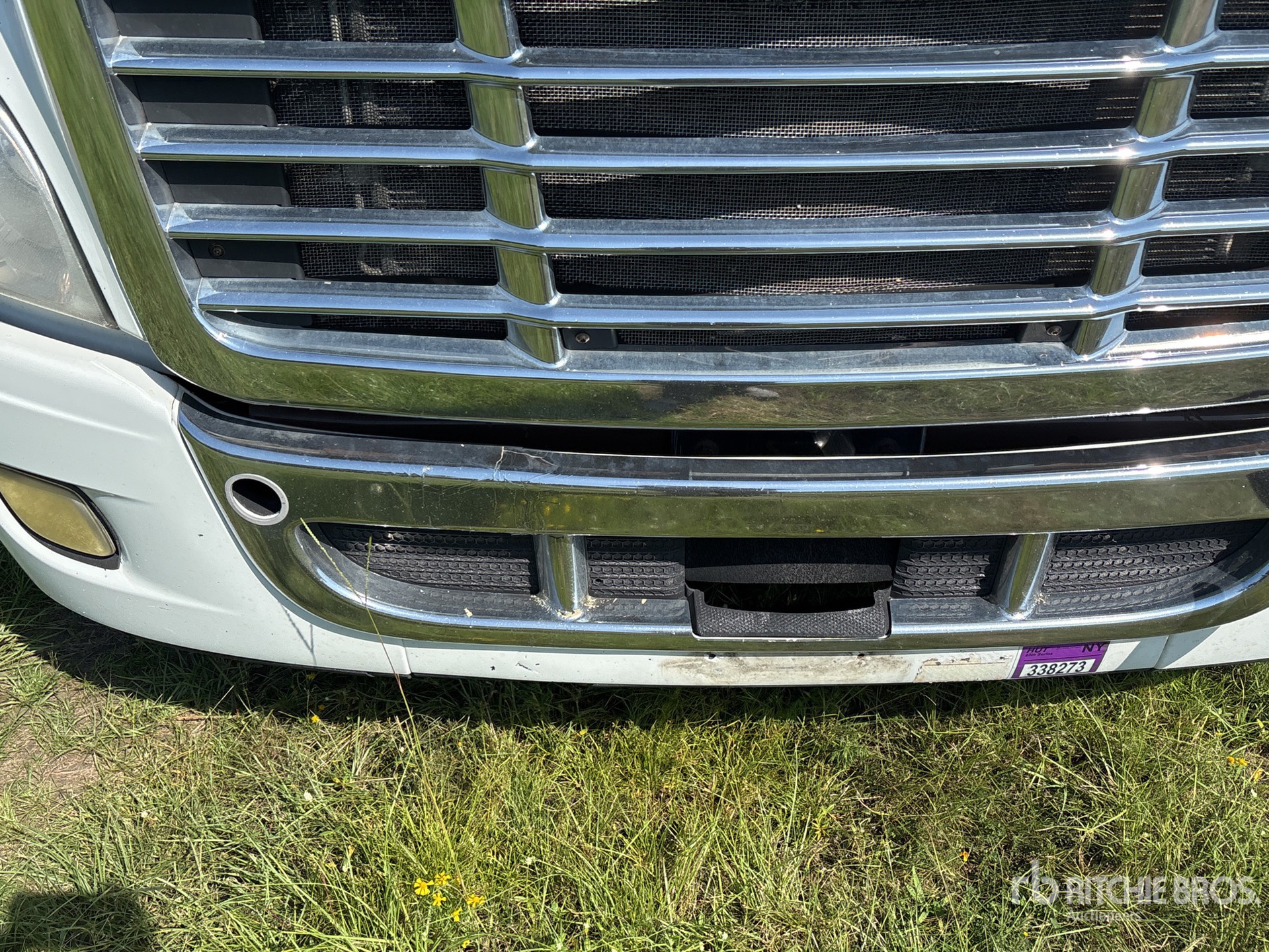 2015 Freightliner Cascadia 113