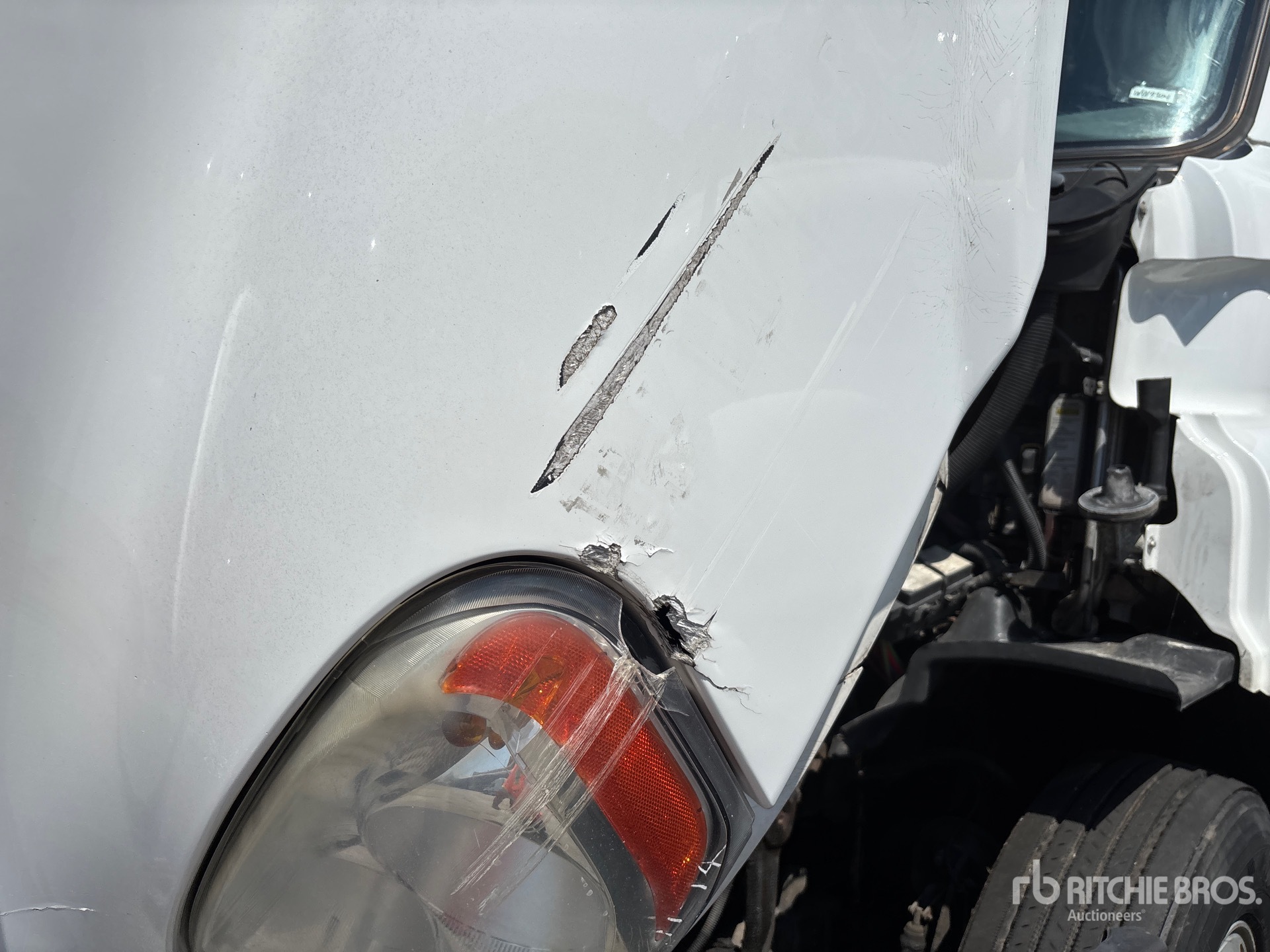 2019 Freightliner Cascadia 113