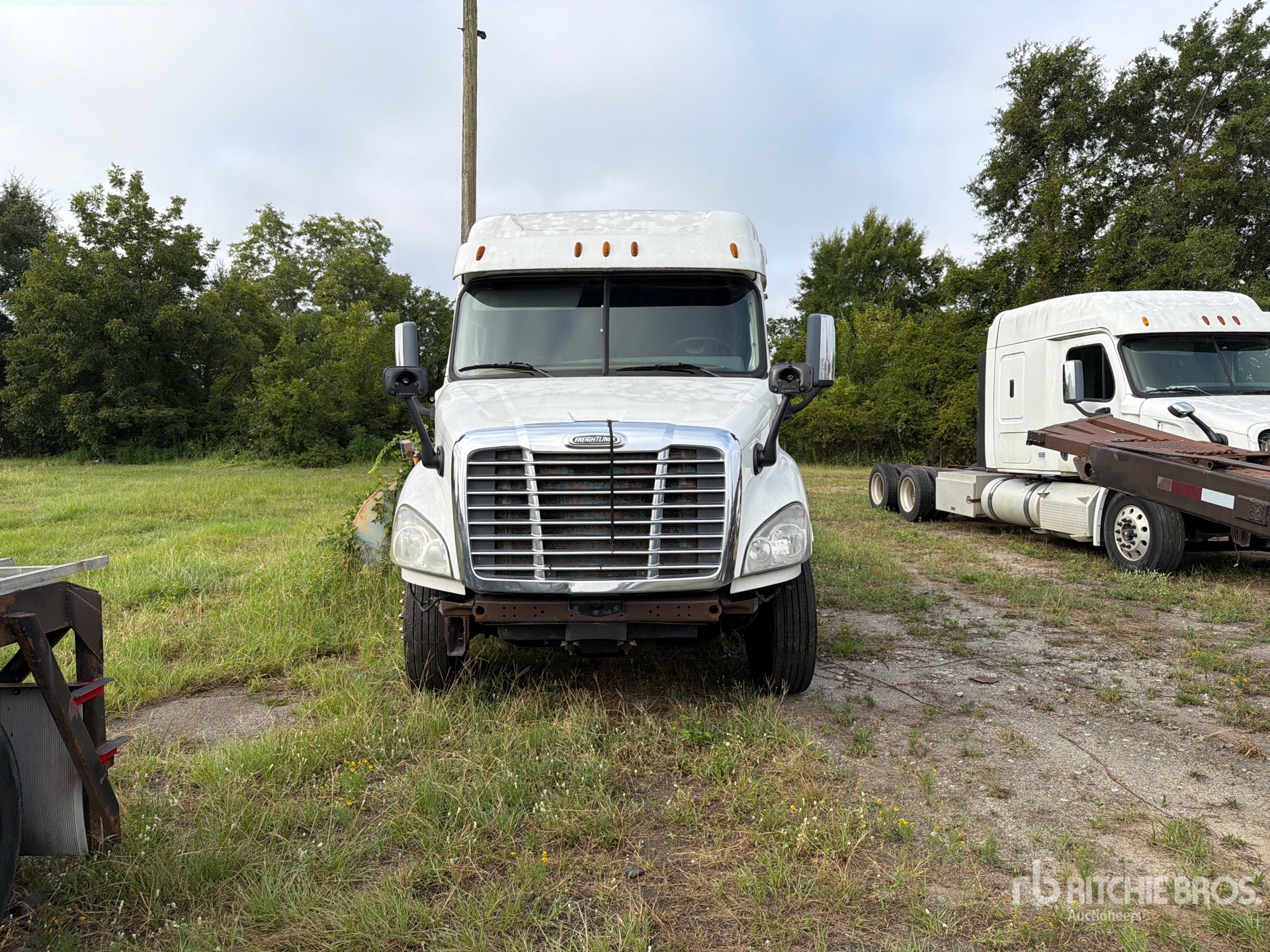 2015 Freightliner CASCADIA 113