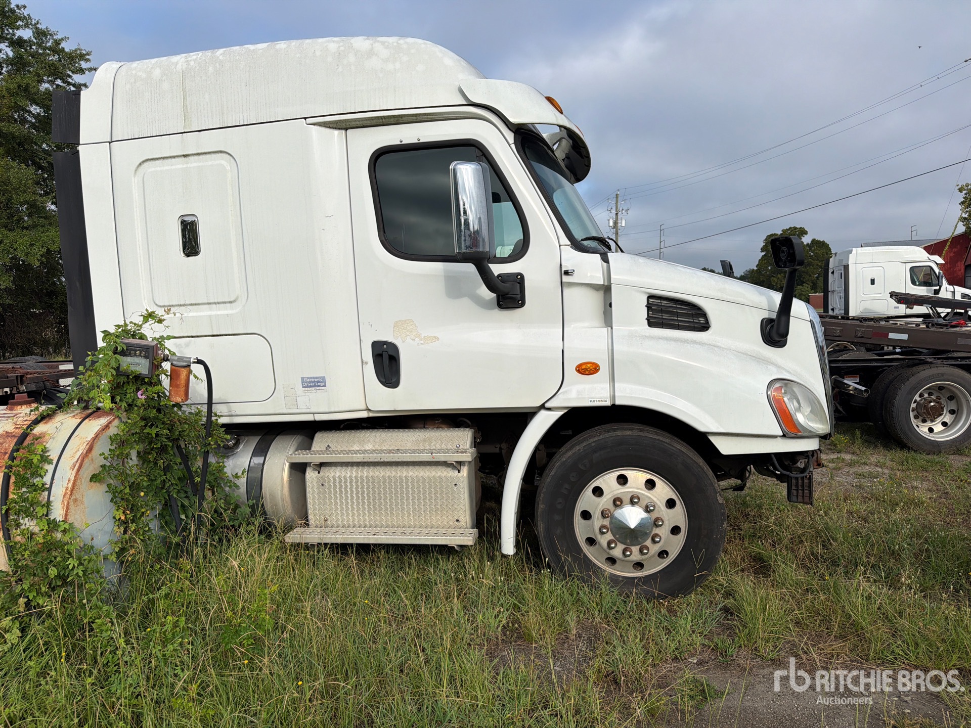 2015 Freightliner CASCADIA 113