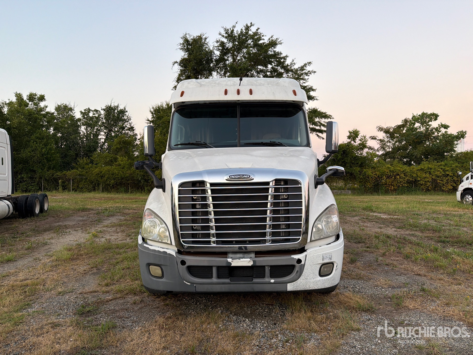 2015 Freightliner CASCADIA 113