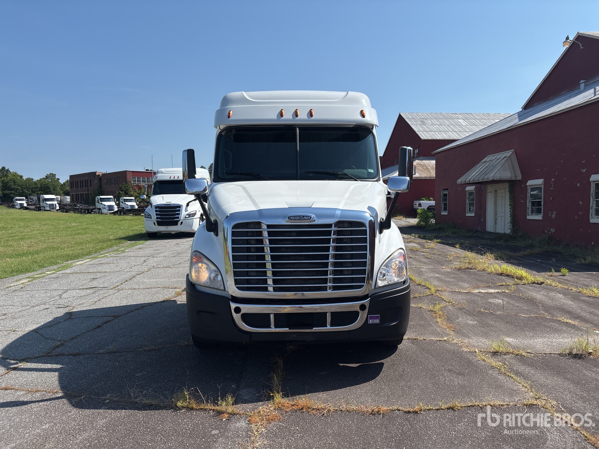 2019 Freightliner Cascadia 113