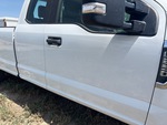 General Appearance with Paint