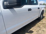 General Appearance with Paint