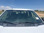 General Appearance with Glass