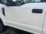 General Appearance with Paint